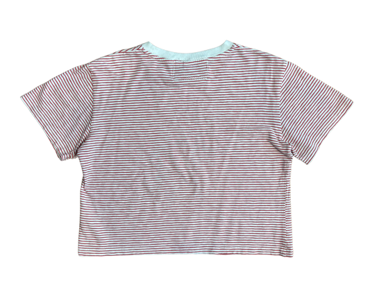 starpwr stripe cropped tee
