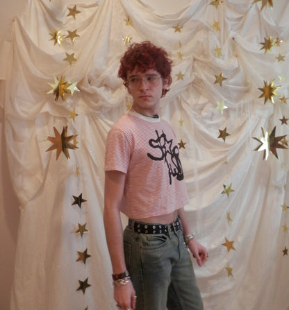 starpwr stripe cropped tee